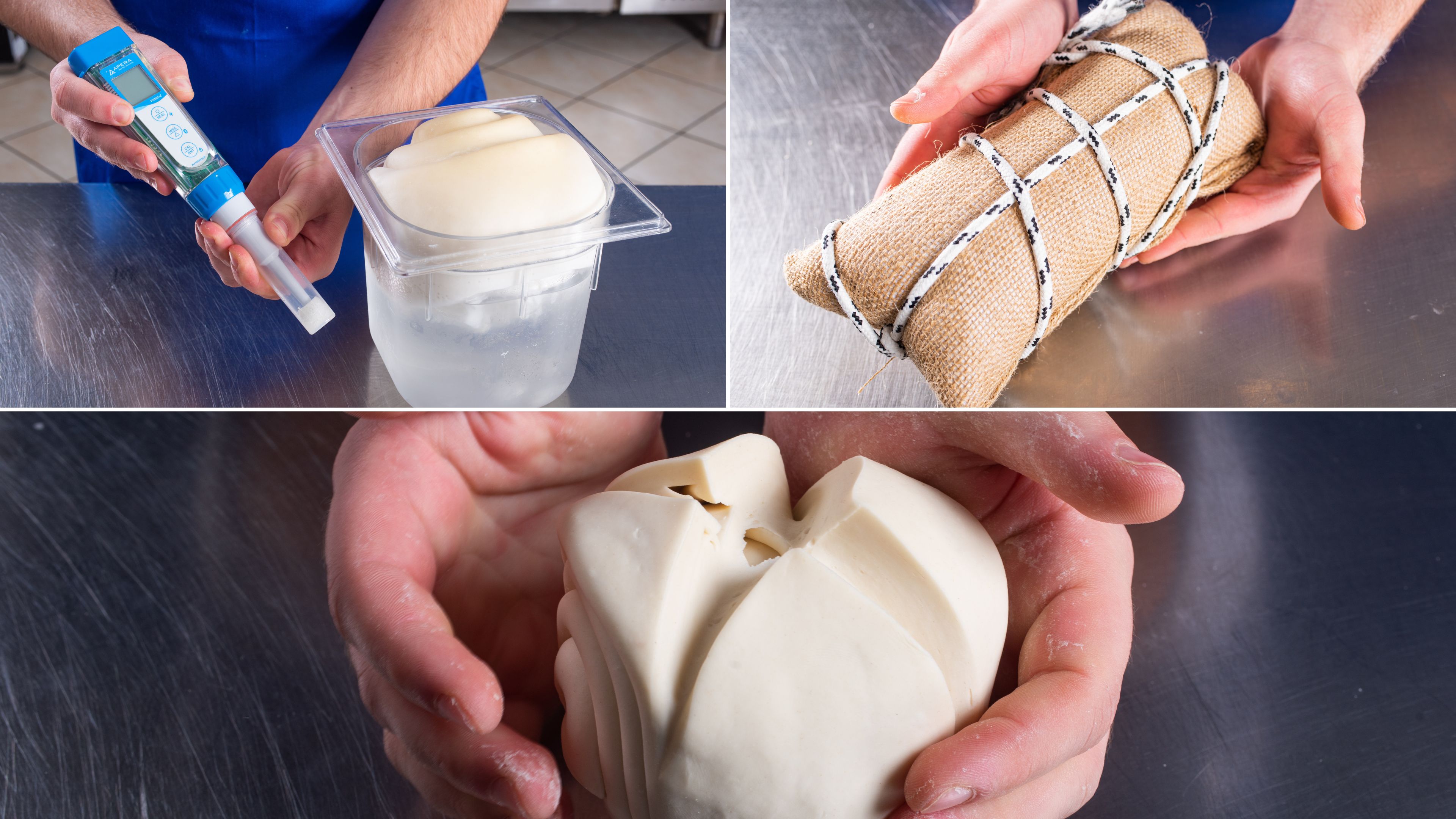 Controllo del lievito: misurazioni e lettura dei segnali prima dell’impiego