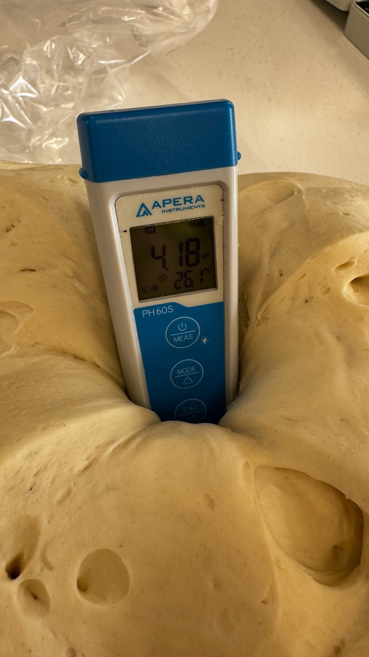 Lievito madre al pH 4.1, pronto per l'impasto